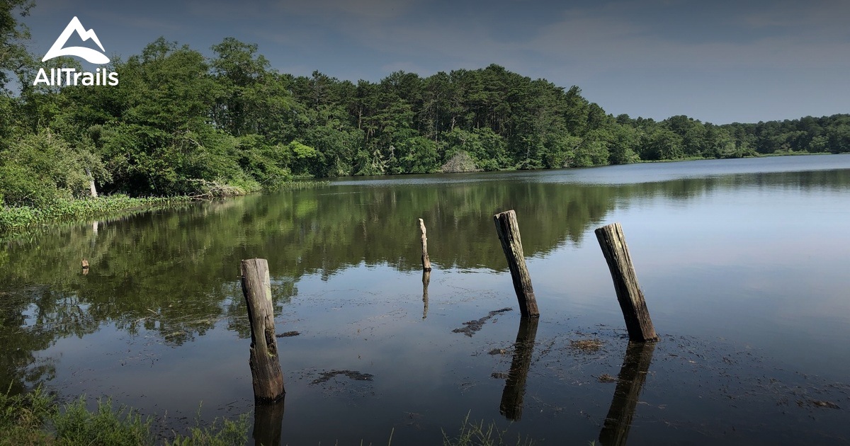 Best hikes and trails in Harwich AllTrails