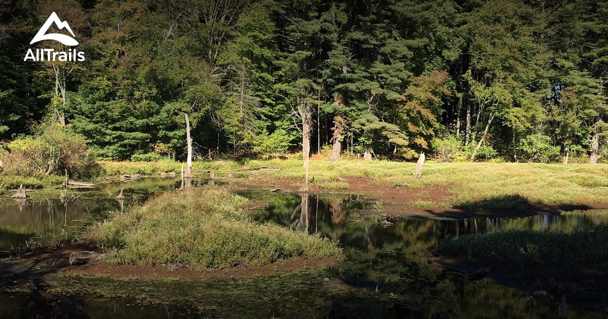 Best trails in Holliston, Massachusetts AllTrails