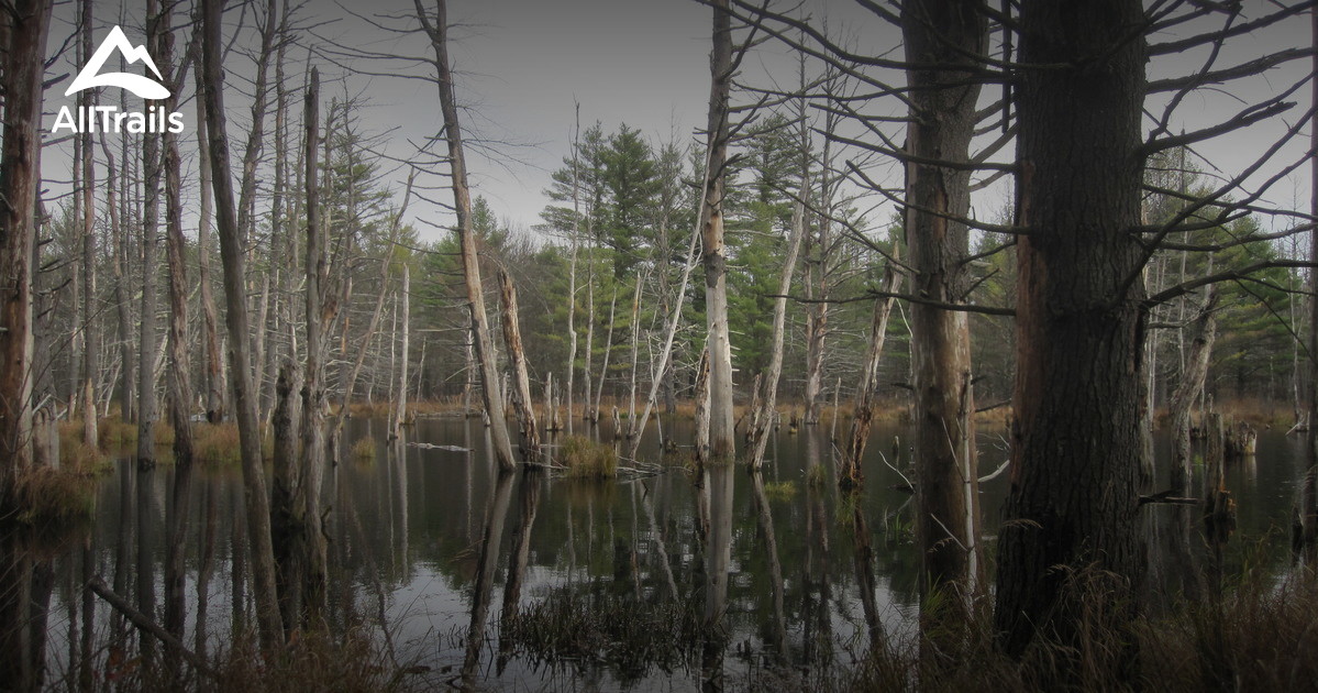 Best Trails near Hubbardston, Massachusetts AllTrails