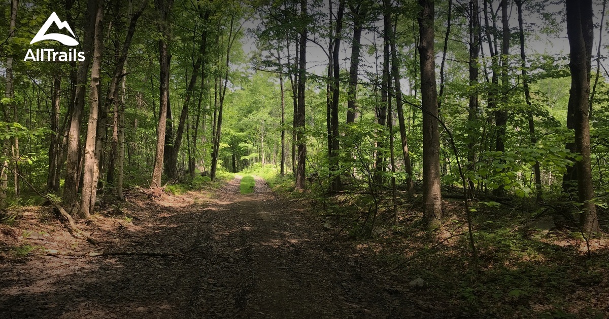 Best views trails in Pelham AllTrails