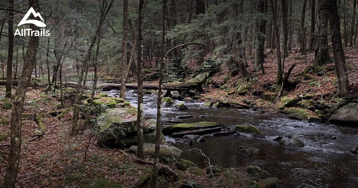 2023 Best Forest Trails in Sandisfield AllTrails