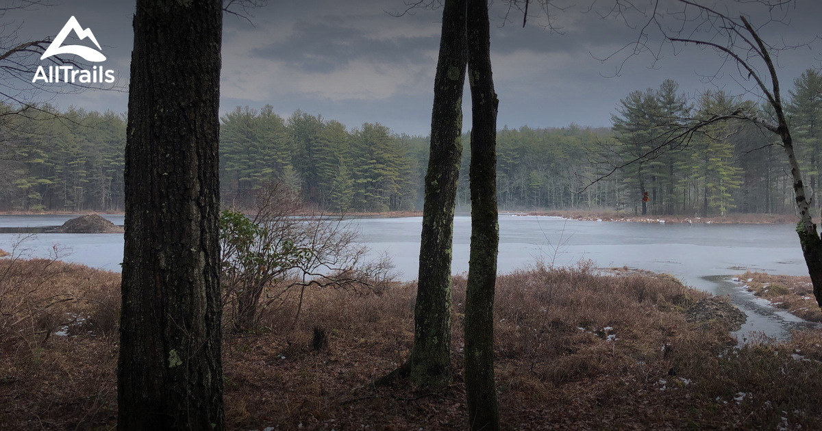 Best Walking Trails in Shutesbury AllTrails