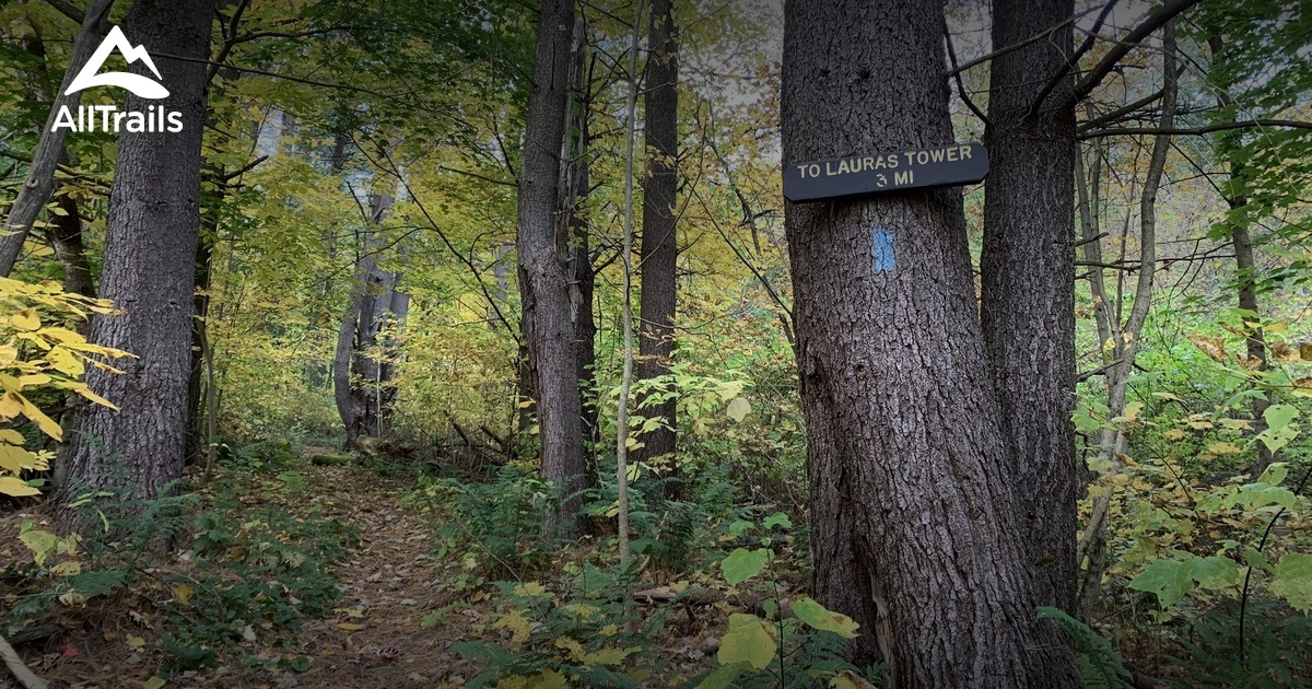 Best Forest Trails in South Lee AllTrails