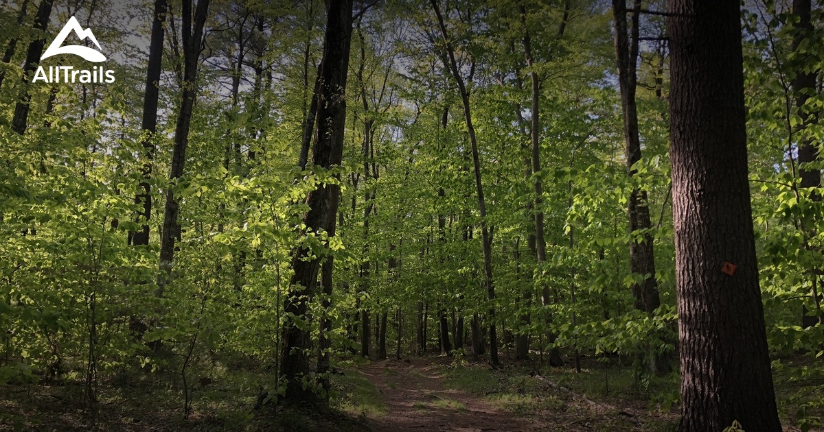 Best walking trails in Wayland, Massachusetts AllTrails