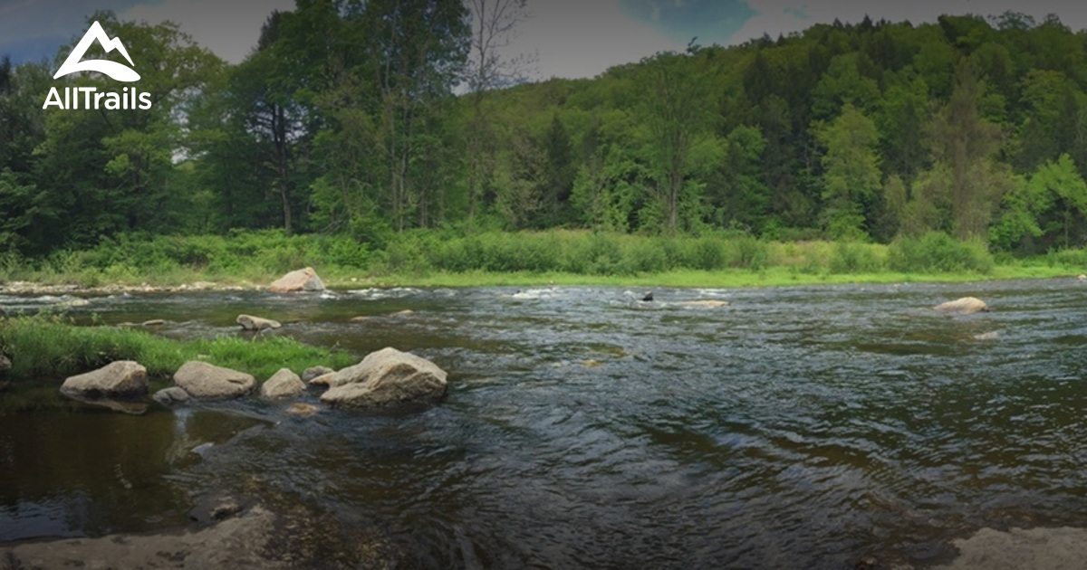 Best Forest Trails in West Chesterfield AllTrails