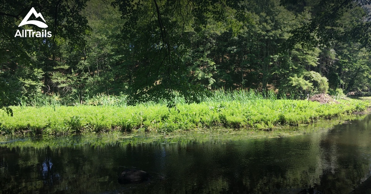10 Best trails and hikes in Westford AllTrails