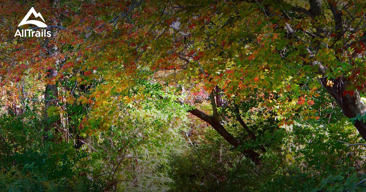 Best Trails near Westport, Massachusetts AllTrails