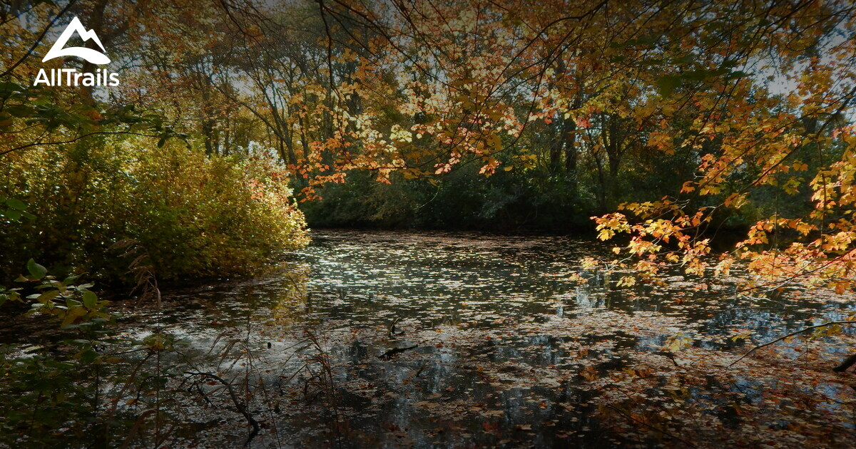 10 Best Trails and Hikes in Westport AllTrails