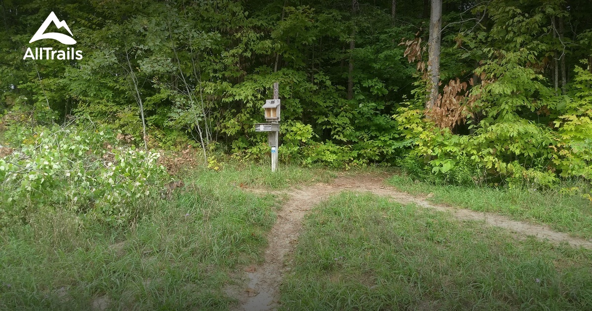 Best Hikes and Trails in Alanson AllTrails
