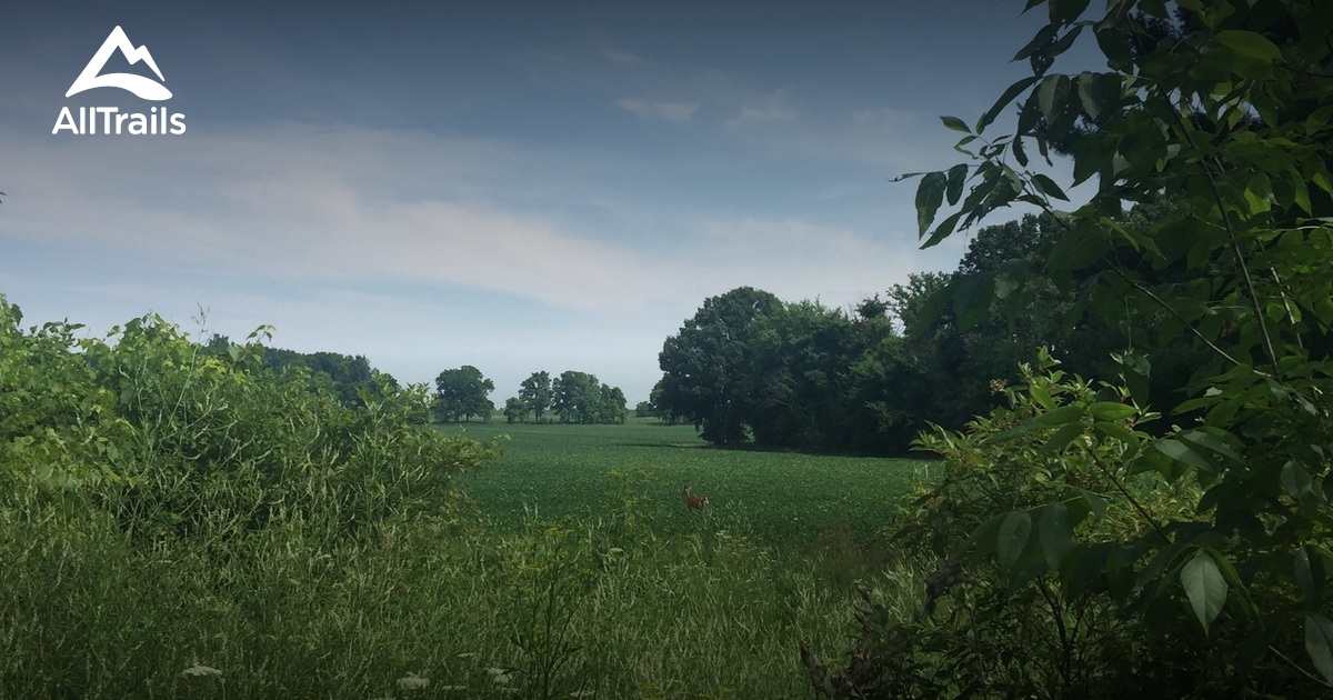 Best trails in Columbiaville, Michigan AllTrails