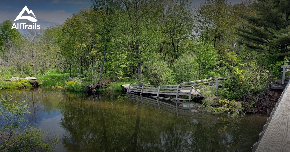 Best Hikes and Trails in Dollar Bay AllTrails