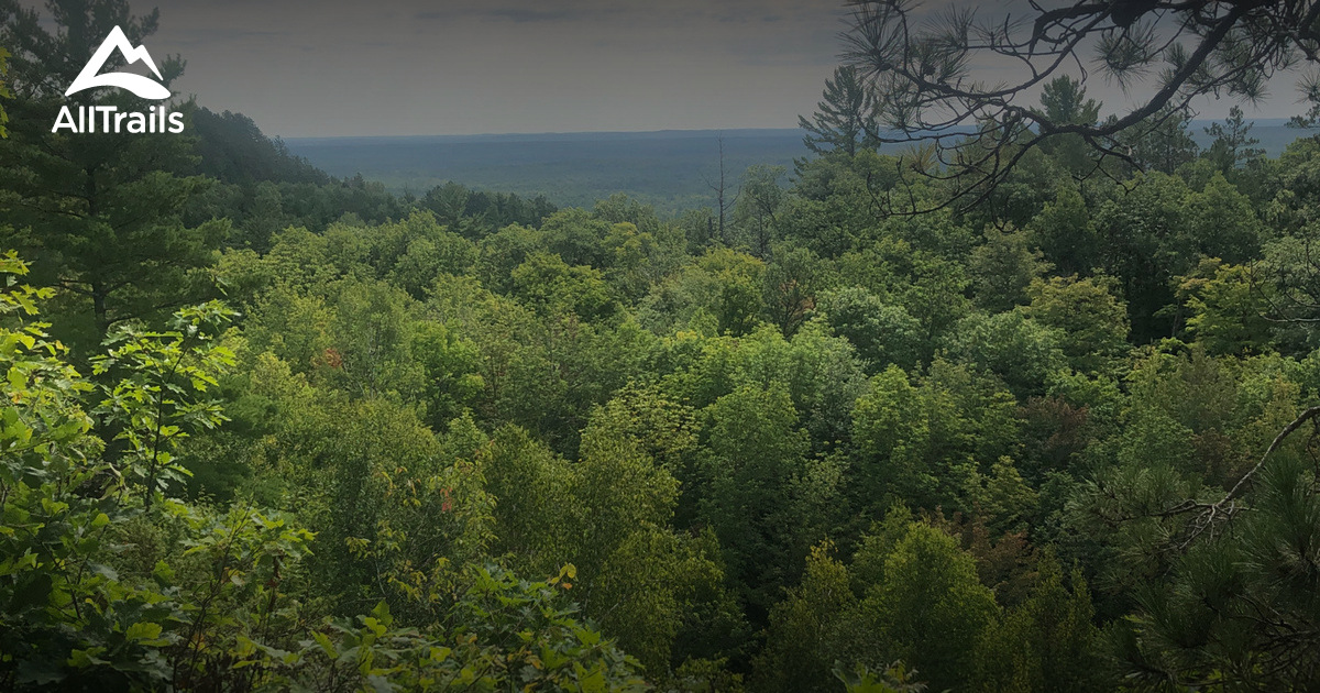 Best Forest Trails in Ewen AllTrails