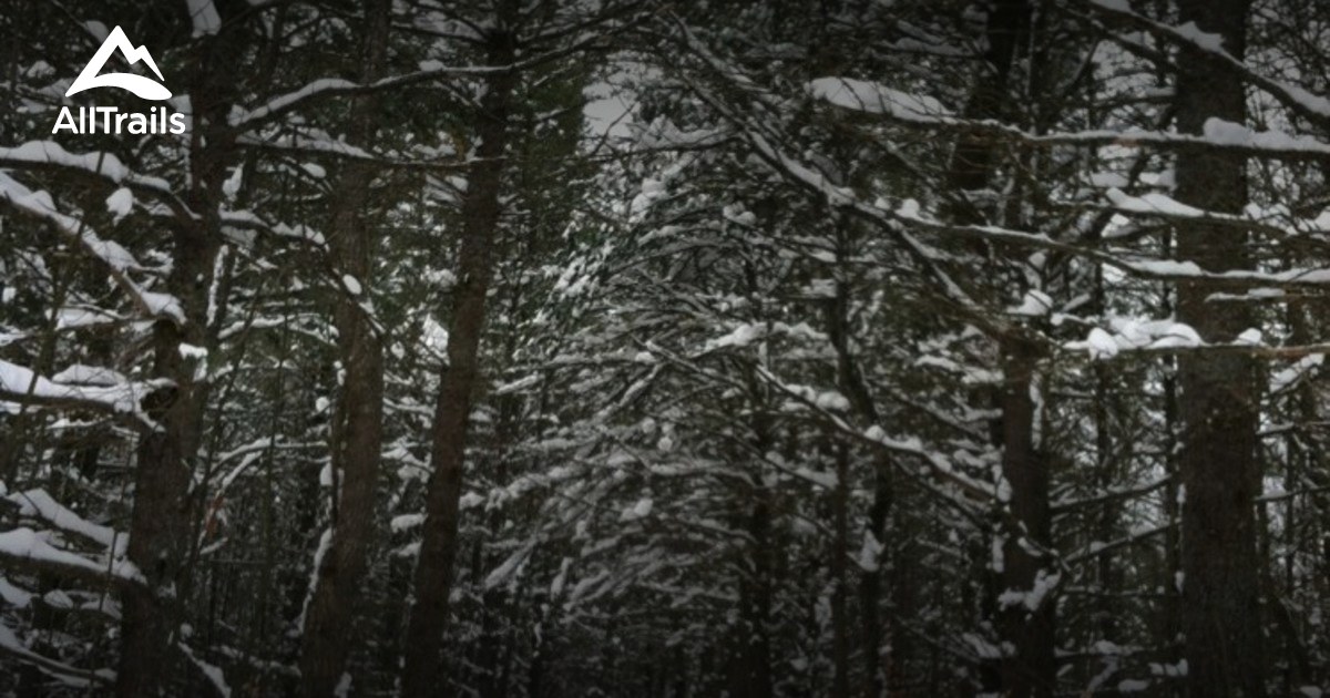 Best Trails near Gaylord, Michigan AllTrails
