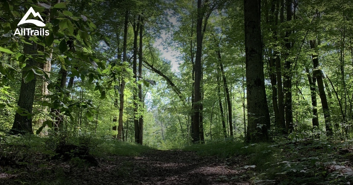 Best Hikes and Trails in Gowen AllTrails