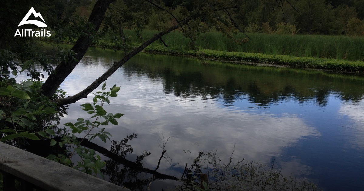 Best Trails near Gregory, Michigan AllTrails