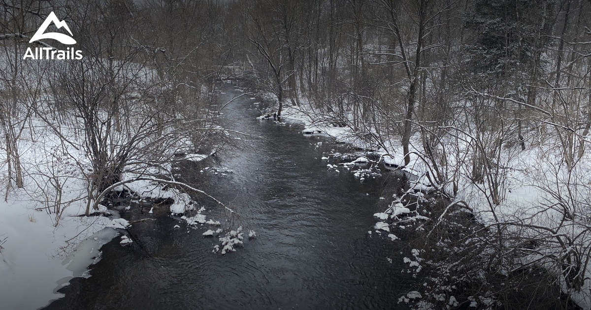 Best Hikes and Trails in Iron River AllTrails