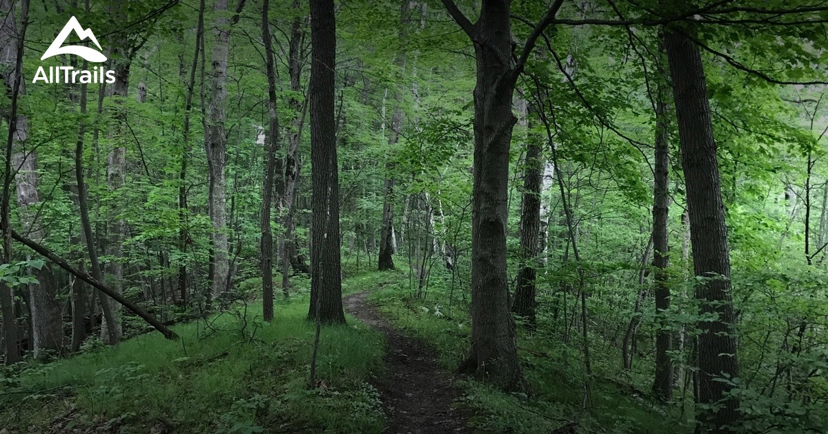 Best Hikes and Trails in Lapeer AllTrails