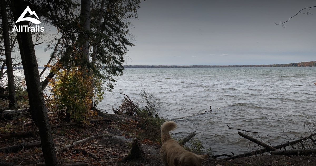 Best Hikes and Trails in Pellston AllTrails