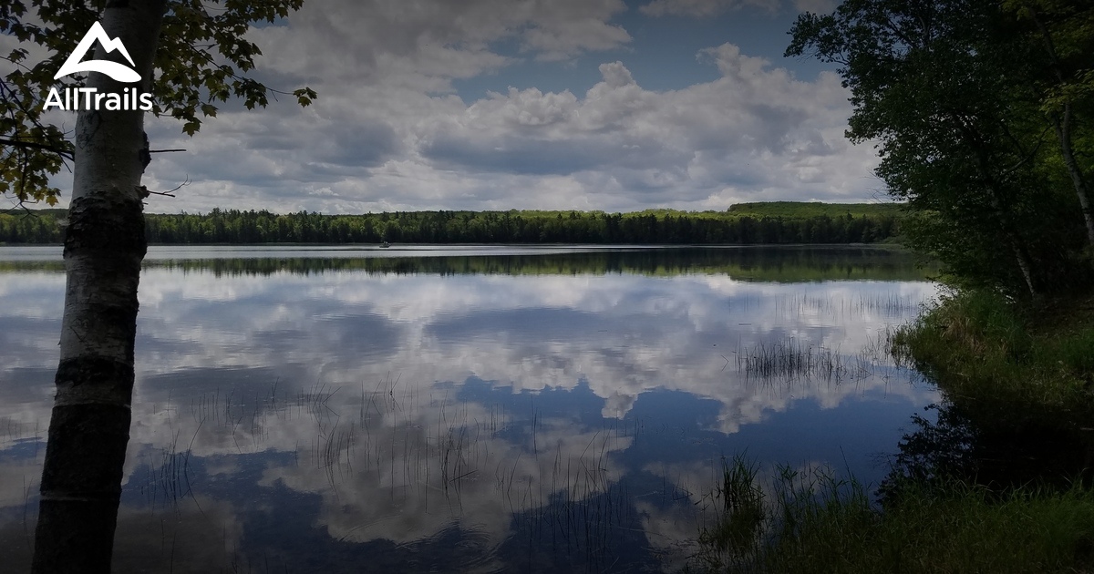 10 Best forest trails in Roscommon | AllTrails
