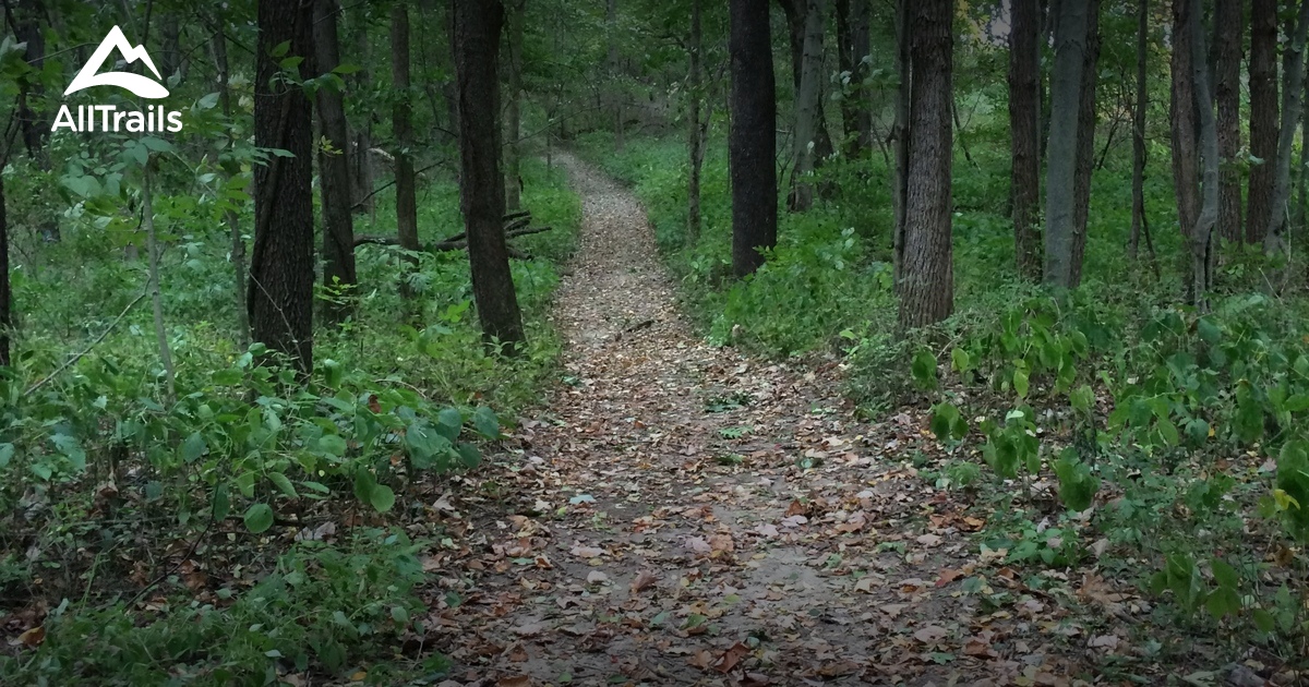 Best Wild Flowers Trails in Vandalia AllTrails