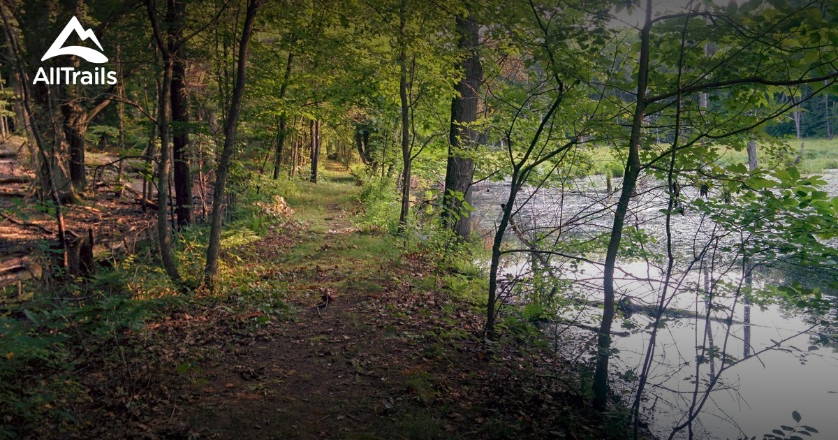 Best Trails near White Cloud, Michigan