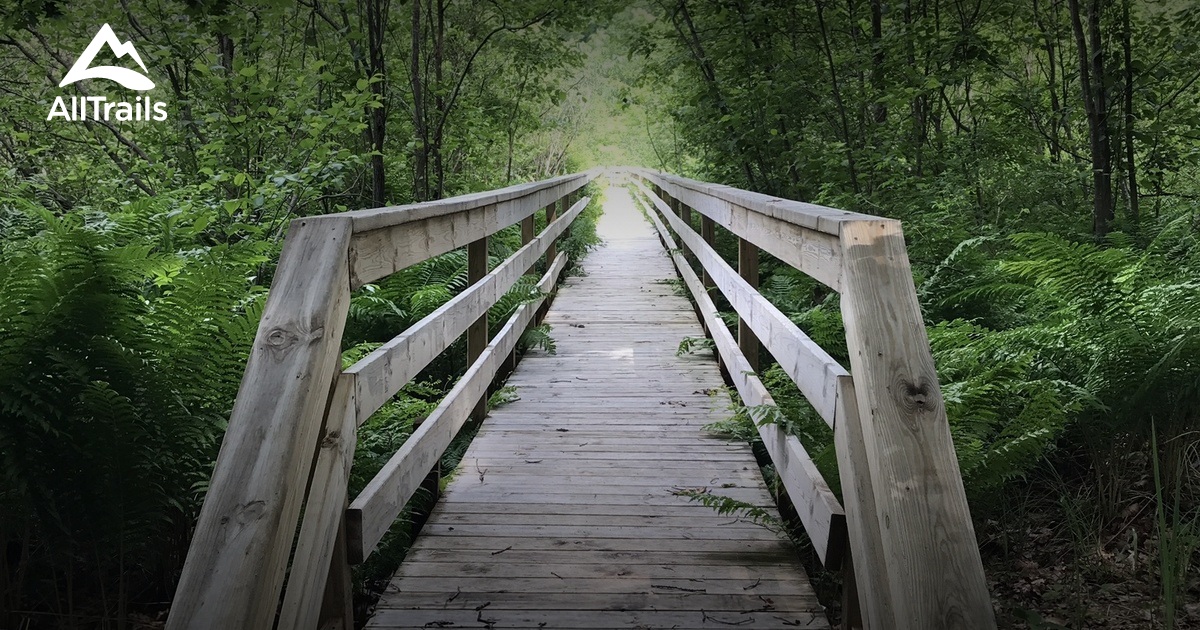 Best Hikes and Trails in White Cloud AllTrails