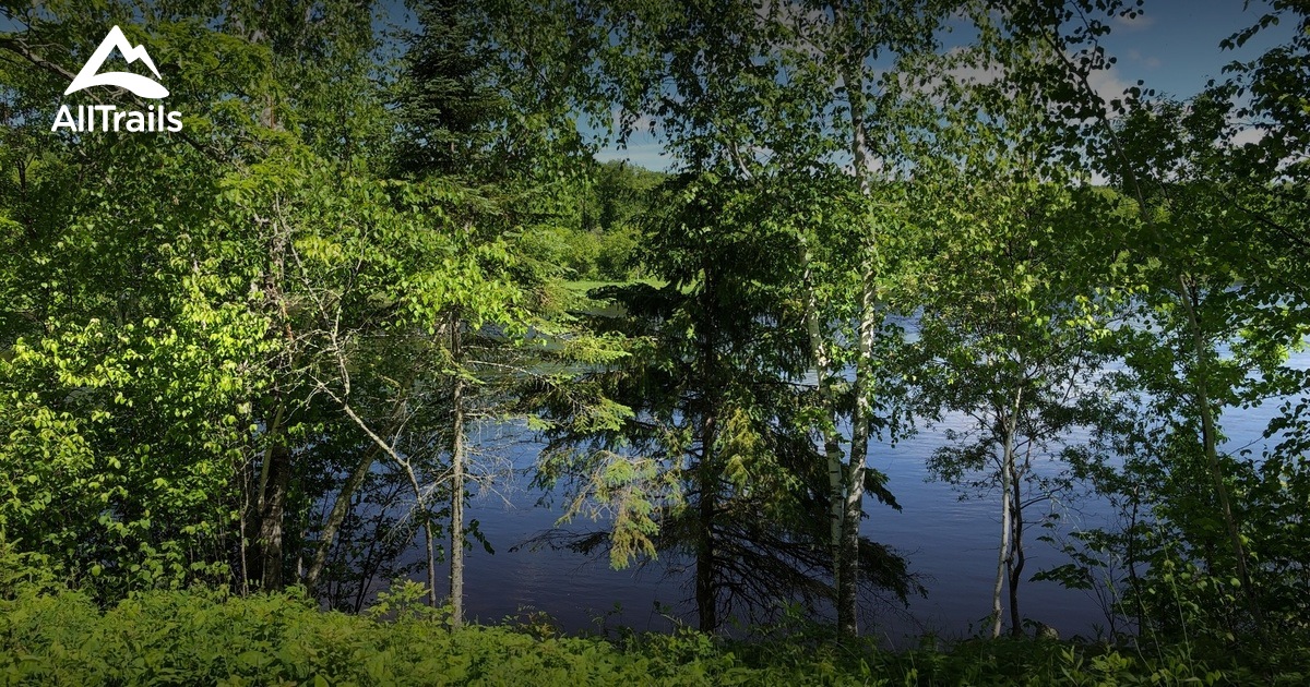 Best Hikes and Trails in Birchdale AllTrails