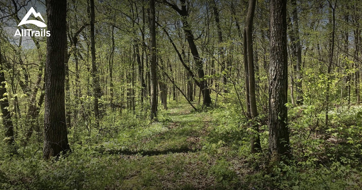 Best Hikes and Trails in Carimona AllTrails