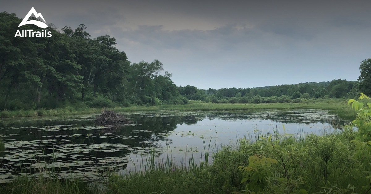 Best Forest Trails in Marine On St Croix AllTrails