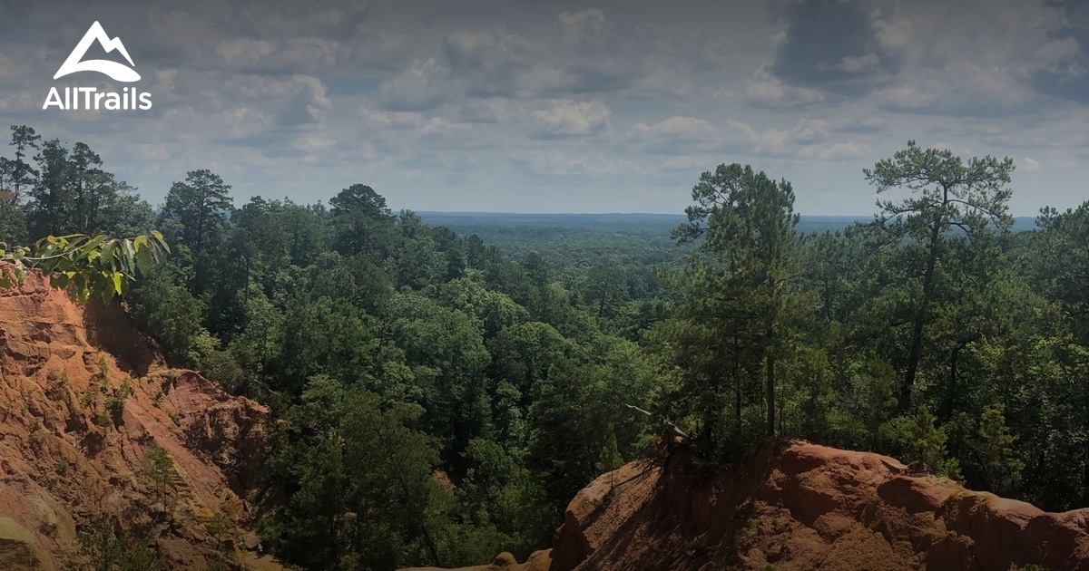 Best Trails near Foxworth, Mississippi AllTrails