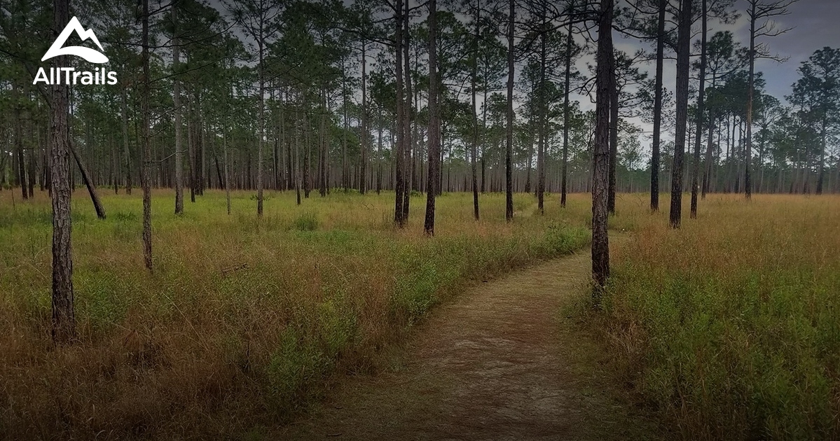 Best trails in Gautier, Mississippi AllTrails