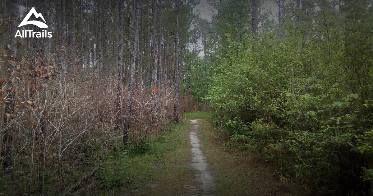 Best Trails near Saucier, Mississippi AllTrails
