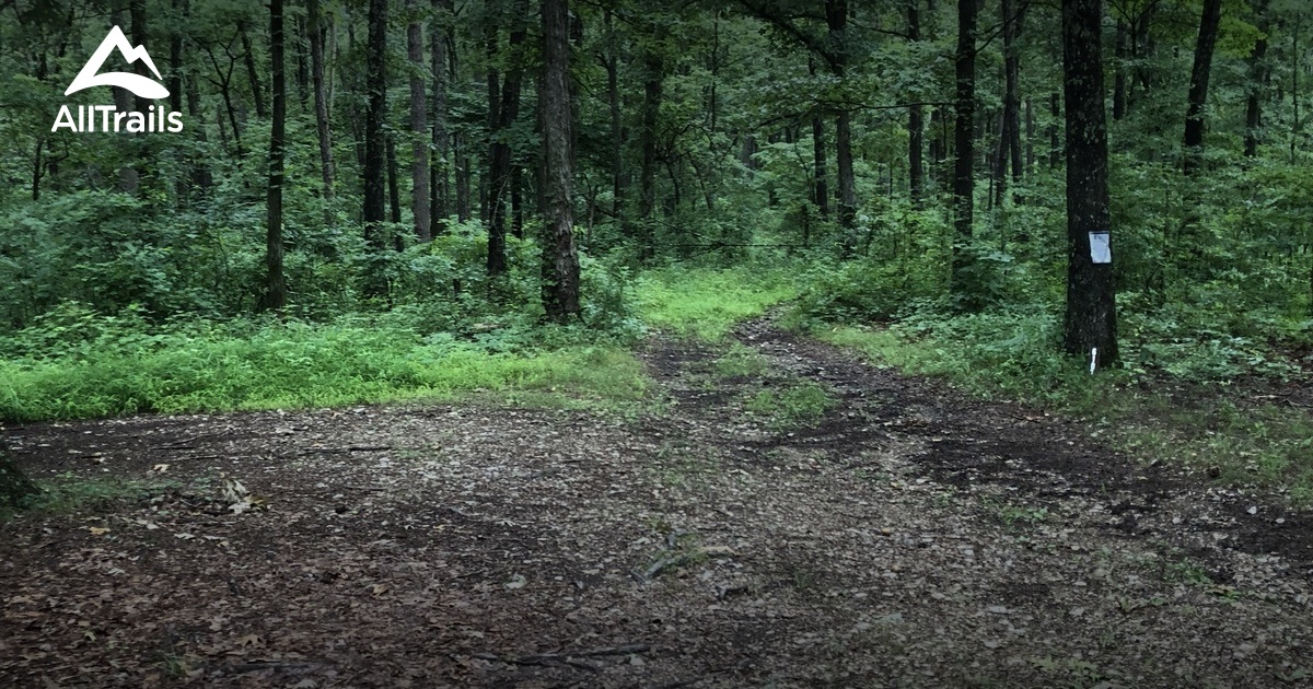 Best Hikes and Trails in Garrison AllTrails