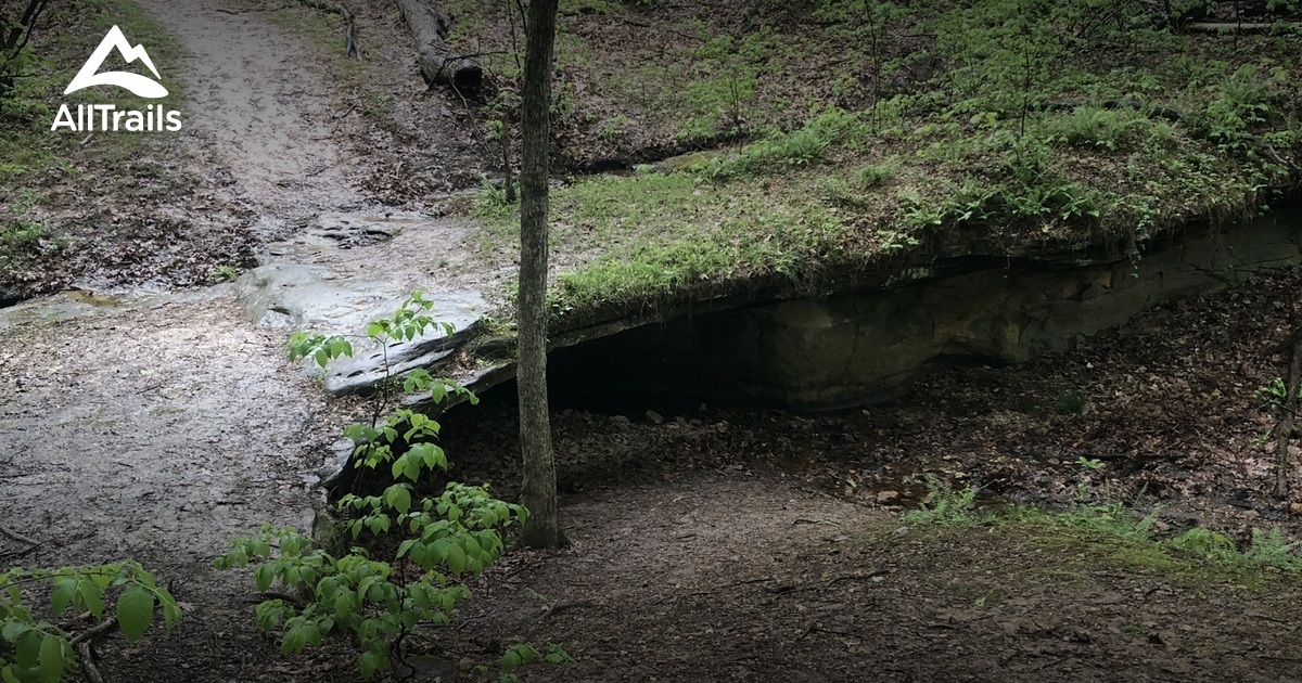 Best Hikes and Trails in House Springs AllTrails