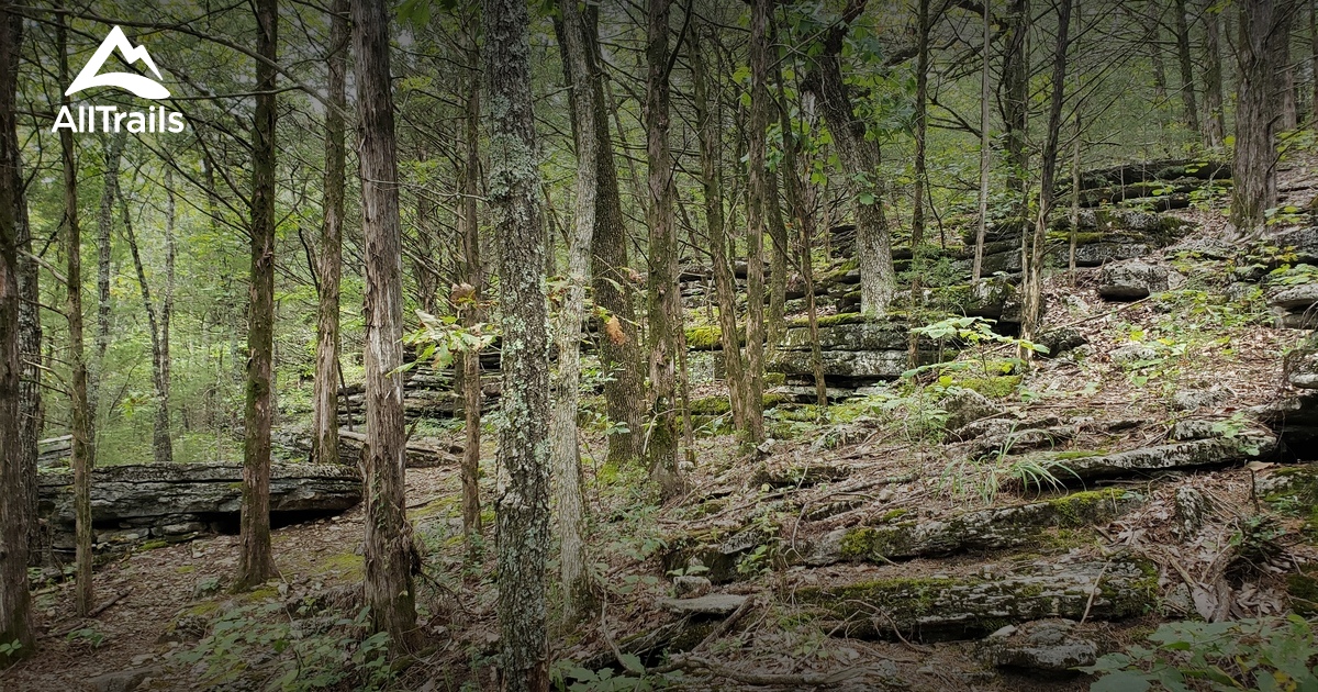 Best Hikes and Trails in Kimberling City AllTrails