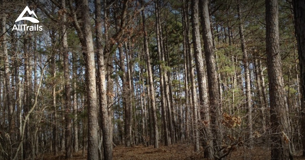 Best Trails near Shell Knob, Missouri AllTrails