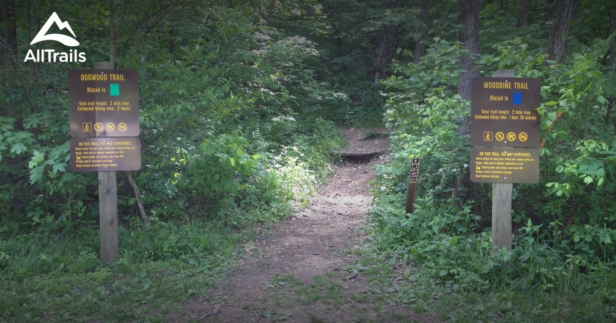 Best hikes and trails in Wildwood AllTrails