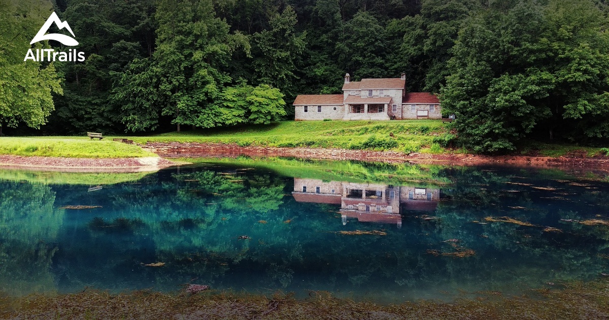 Best Forest Trails in Williamsville AllTrails