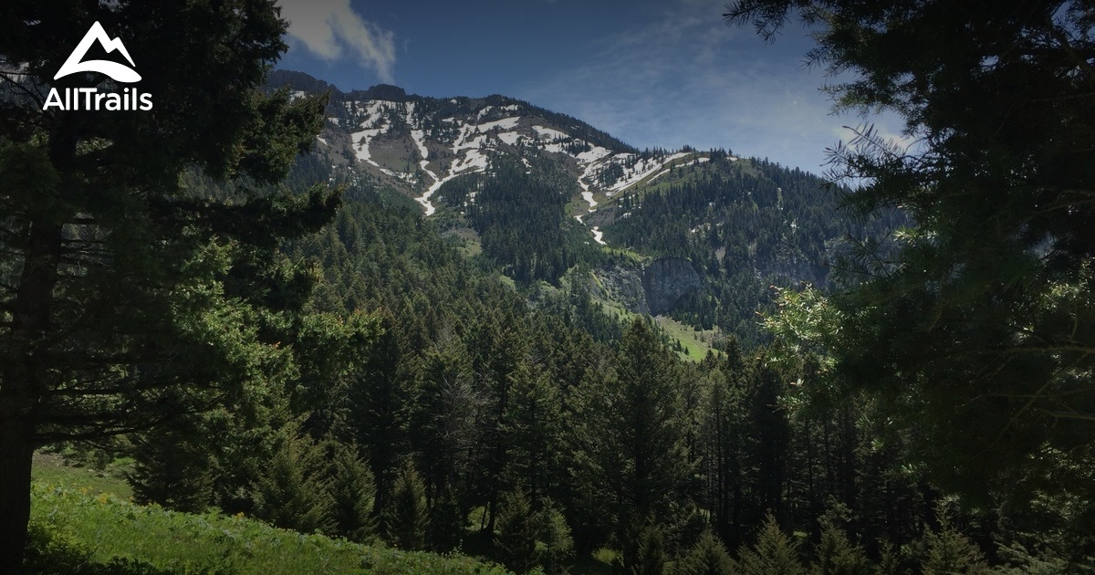 Best Trails near Belgrade, Montana AllTrails