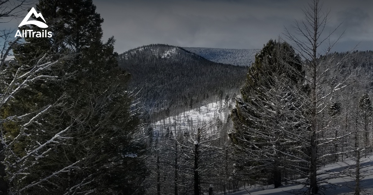 Best hikes and trails in Canyon Creek AllTrails