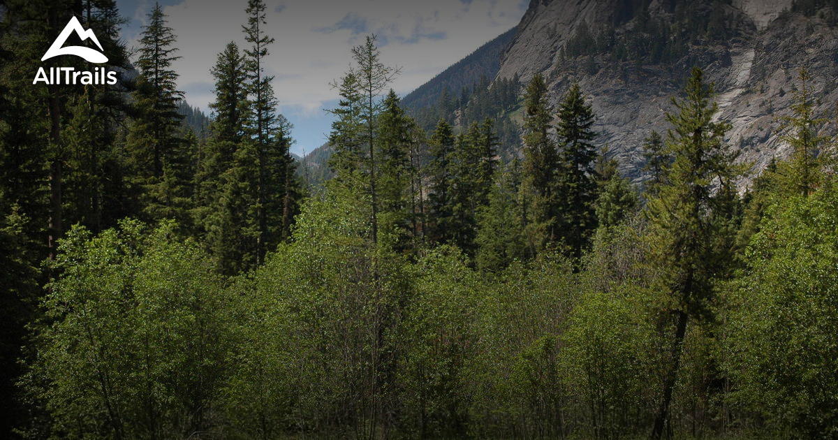 Best Trails near Florence, Montana AllTrails