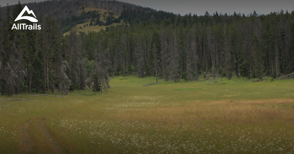 Best Trails near Monarch, Montana AllTrails