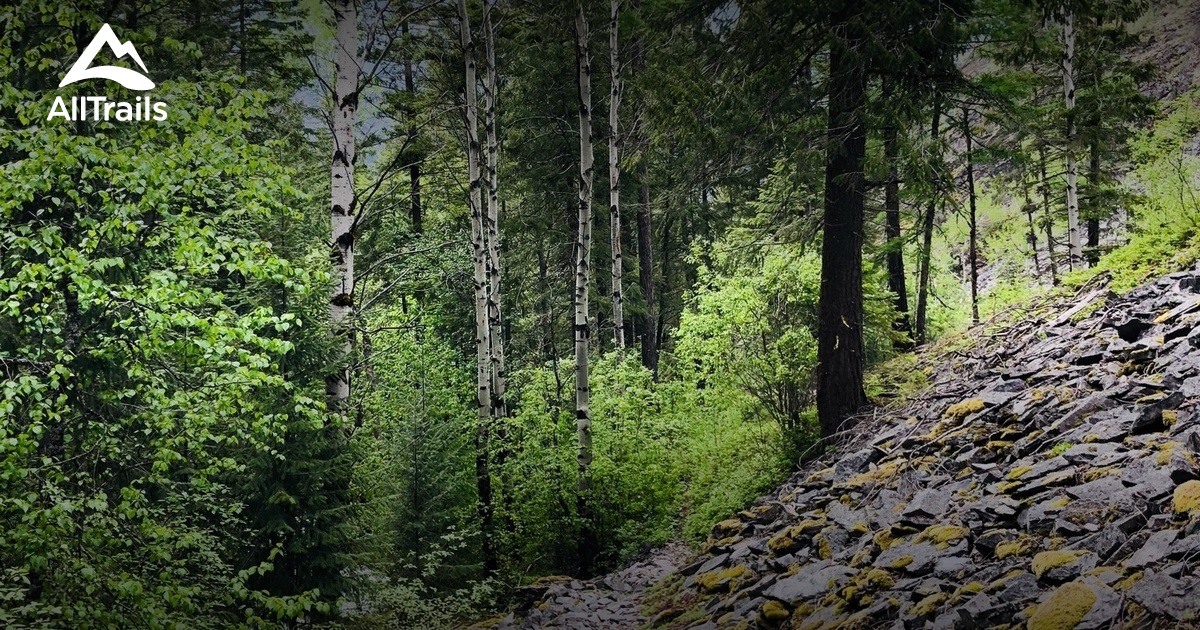 Montana Magic: Unwind at Thompson Falls State Park