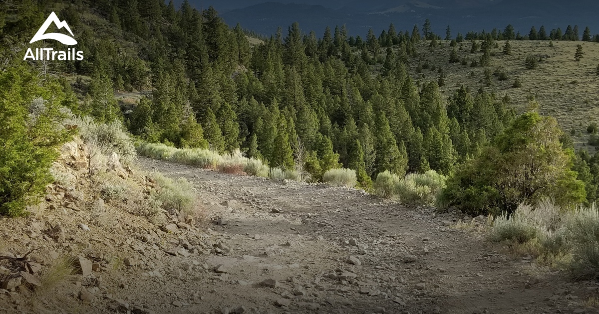 Best Trails near Whitehall, Montana AllTrails