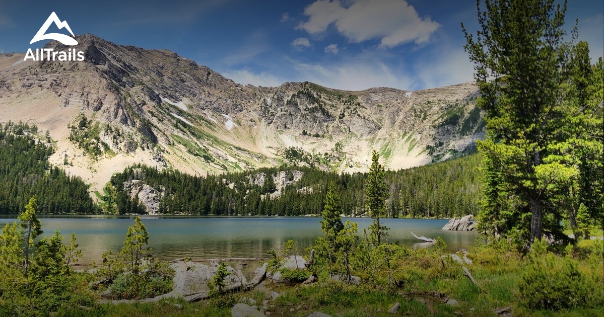 10 Best Trails and Hikes in Wise River AllTrails