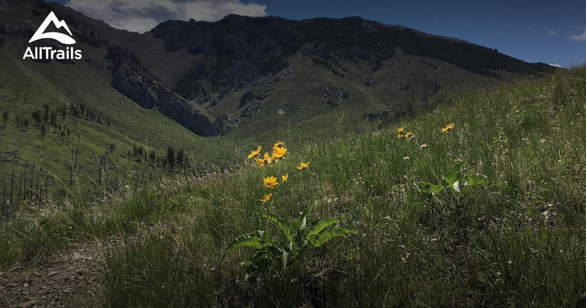 Best trails in Wolf Creek, Montana AllTrails