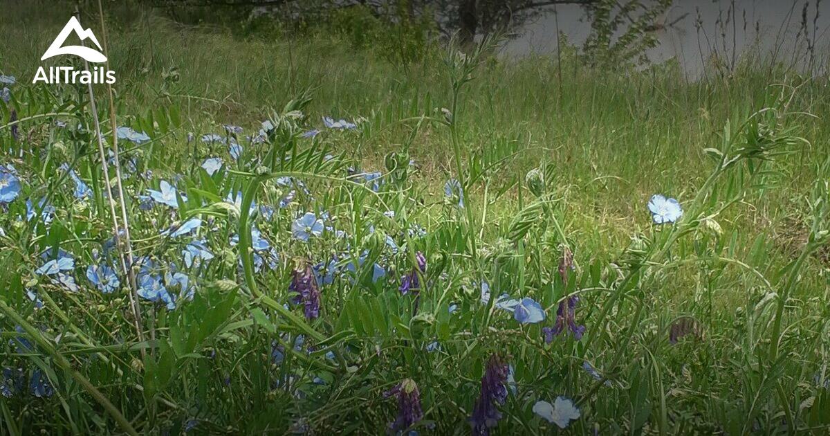 Best Dogs On Leash Trails in Pierce AllTrails