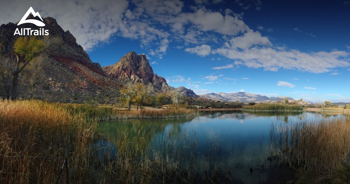 Best Trails near Blue Diamond, Nevada AllTrails