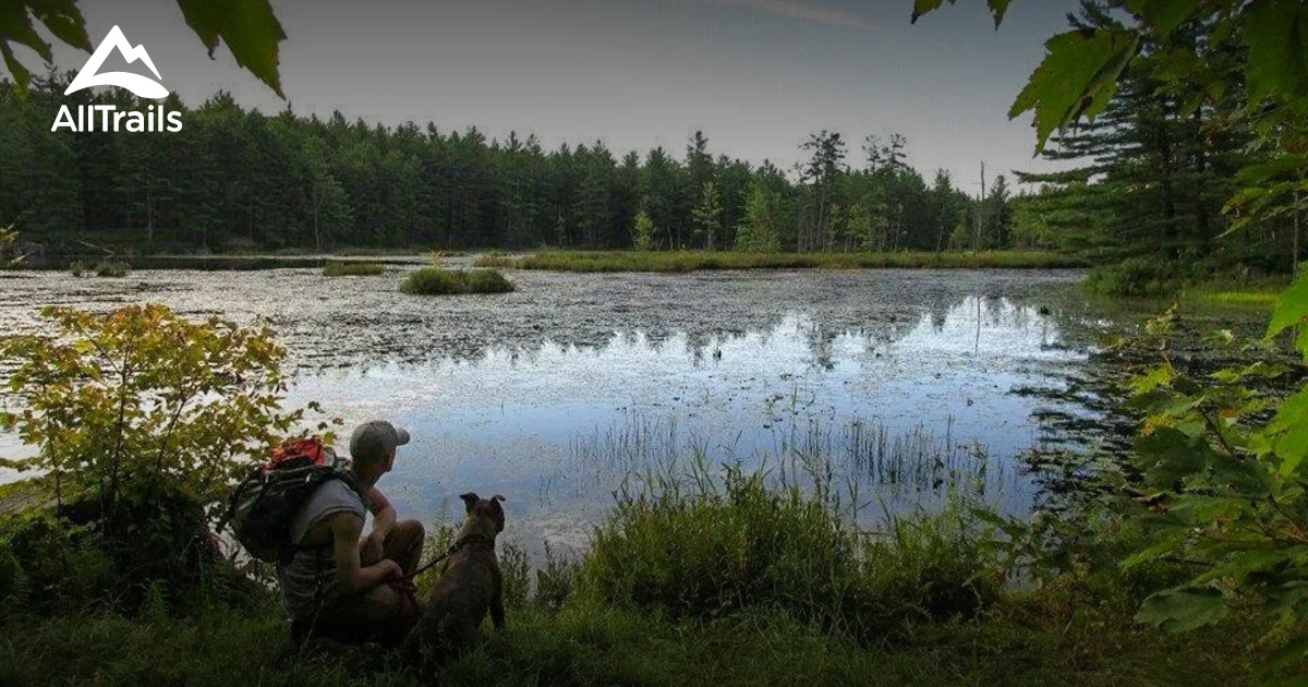 Best Trails near Alstead, New Hampshire AllTrails