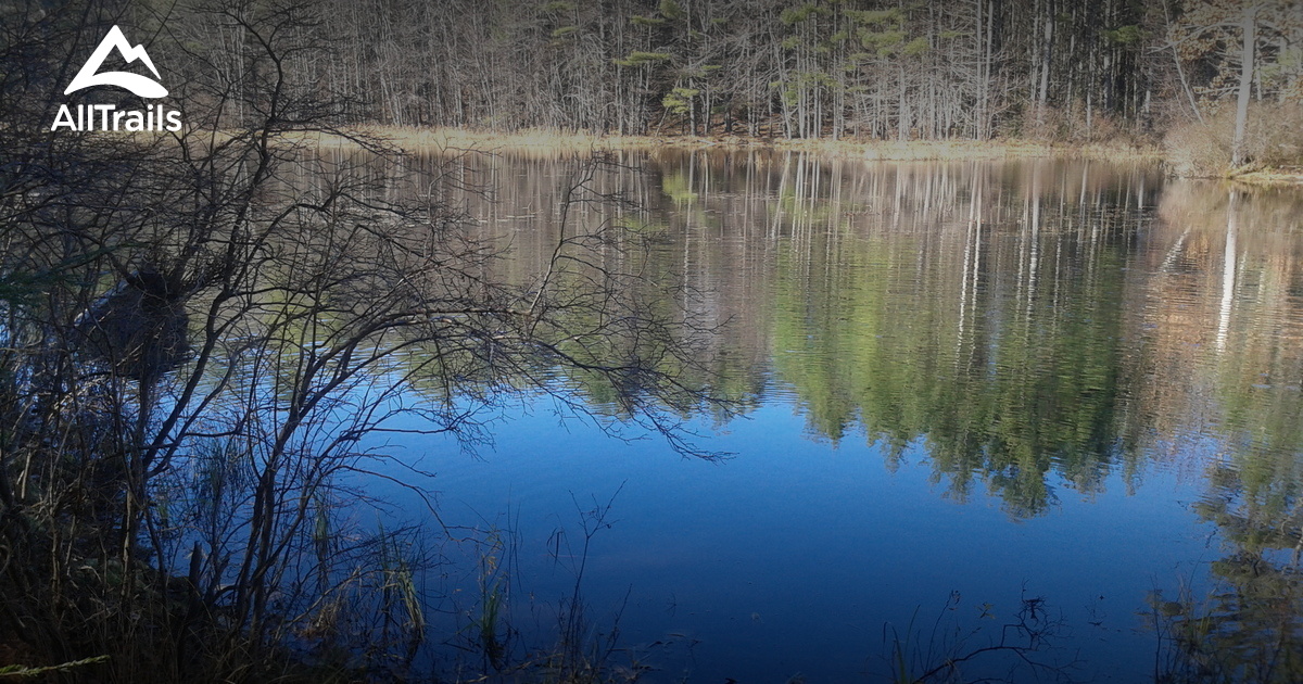 Best Hikes and Trails in Chester AllTrails